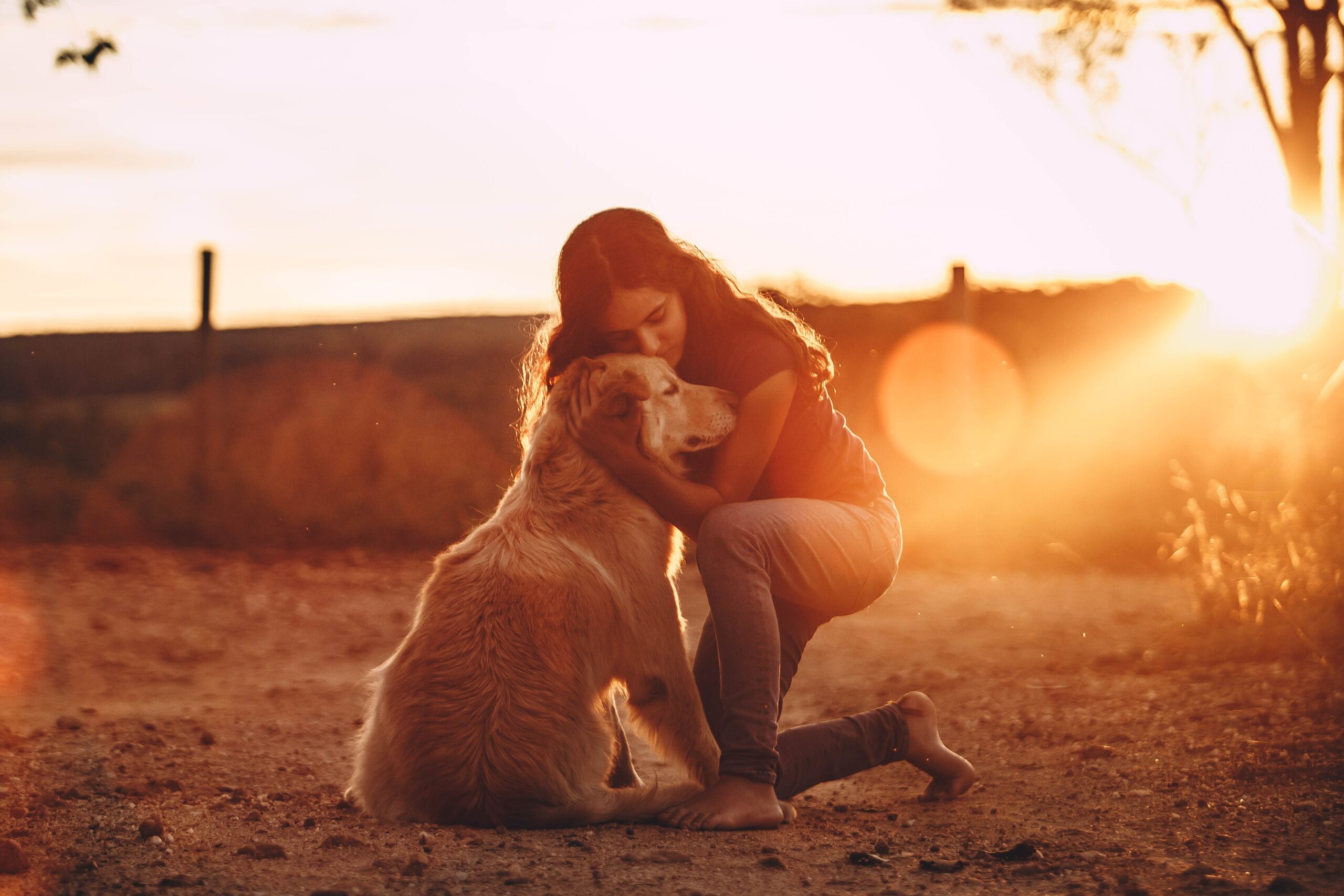 Cum vrea să rezolve primarul unui oraș din Franța problema stăpânilor care nu curăță fecalele animalelor de pe străzi