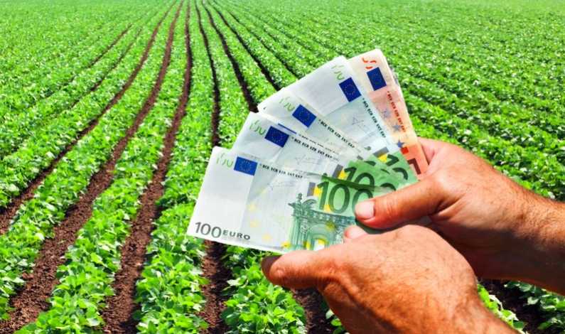 Vești pentru fermierii care cultivă cereale: CEC Bank lansează creditul cu aprobare rapidă Vești pentru fermierii care cultivă cereale: CEC Bank lansează creditul cu aprobare rapidă