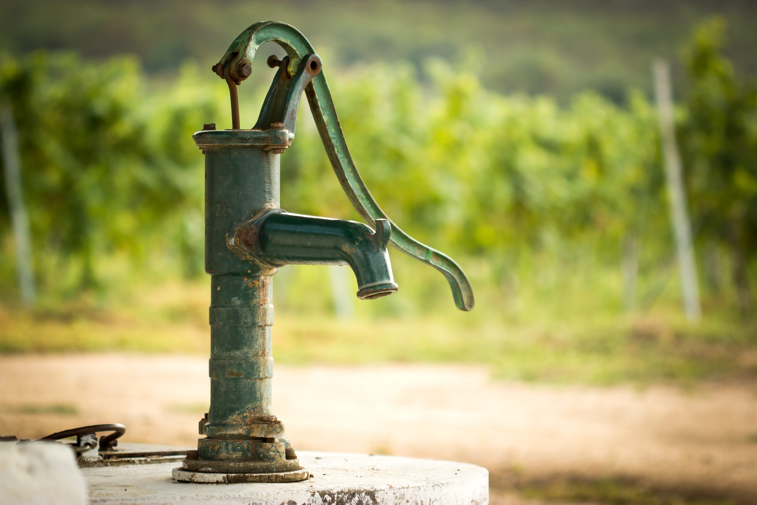 În județul Vaslui, fântânile testate sunt contaminate cu E-coli În județul Vaslui, fântânile testate sunt contaminate cu E-coli