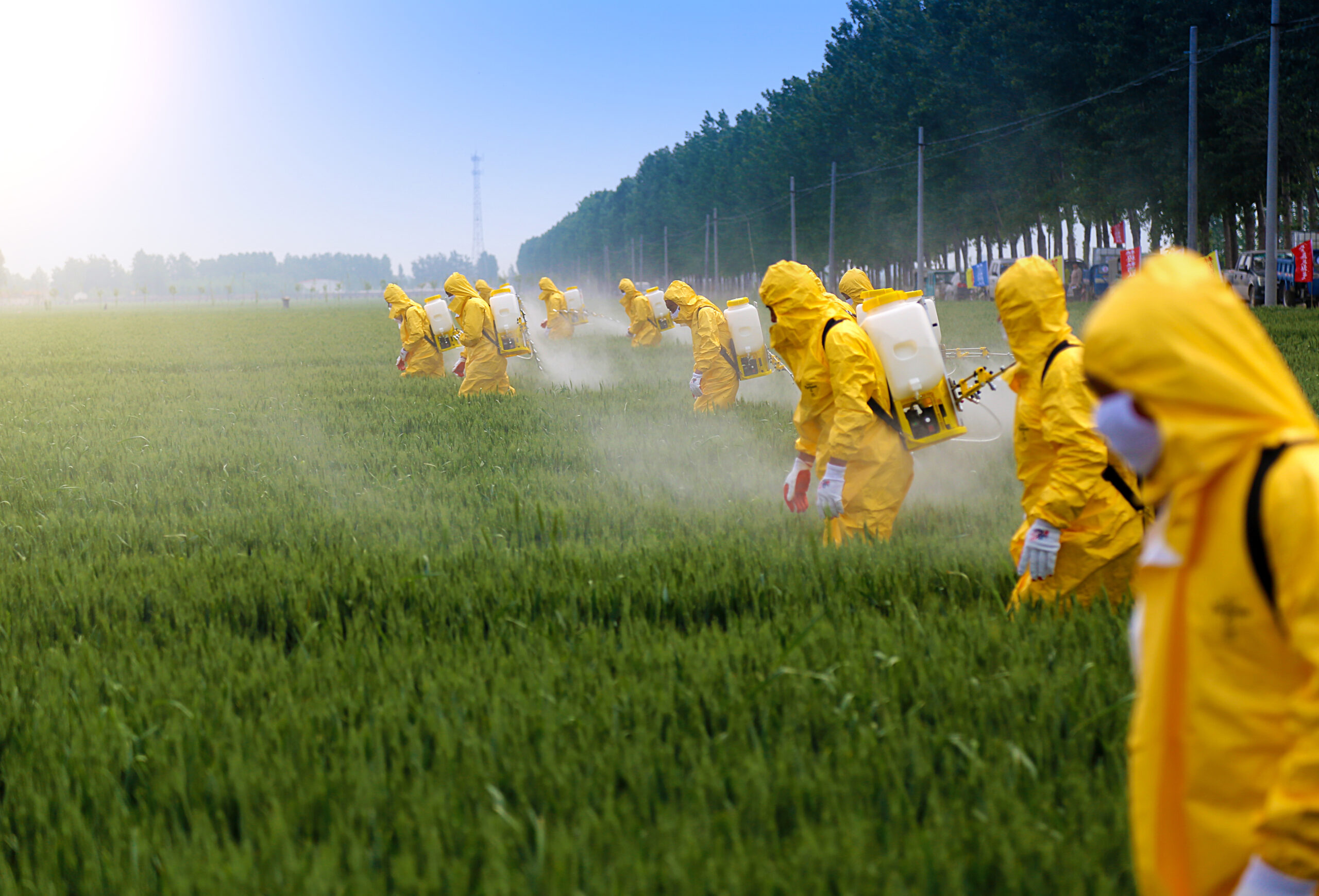 S-a aflat care produse sunt cele mai contaminate de pesticide S-a aflat care produse sunt cele mai contaminate de pesticide