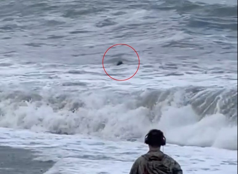 Momentul dramatic în care o tânără este înghițită de valurile Mării Negre. Oamenii priveau și filmau ultimele clipe ale fetei VIDEO