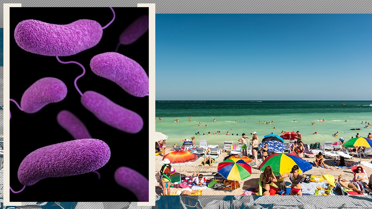 Bacterie periculoasă pentru organismul uman, depistată în apele Mării Negre. Medicii recomandă metode de precauție Bacterie periculoasă pentru organismul uman, depistată în apele Mării Negre. Medicii recomandă metode de precauție