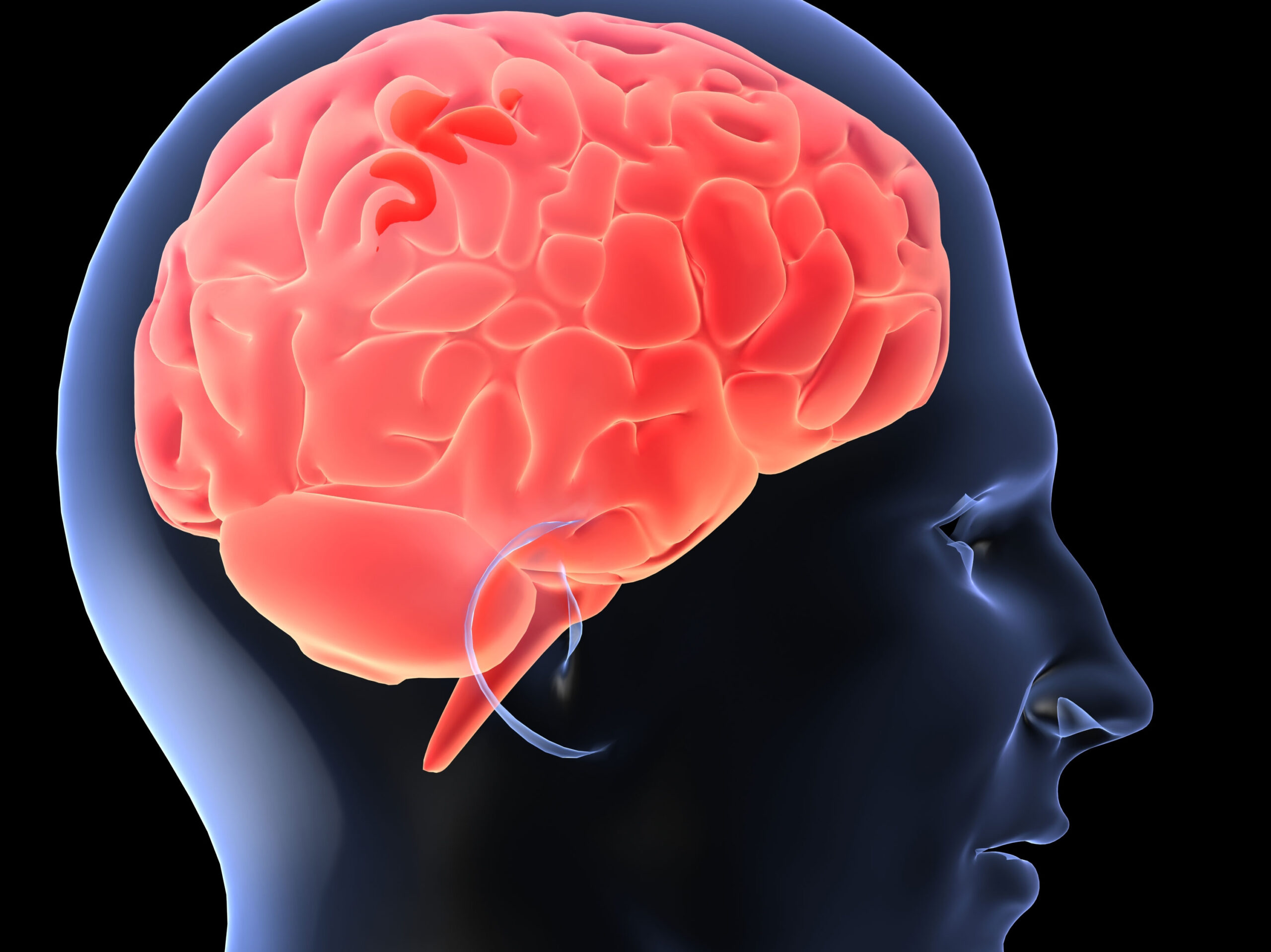 Adolescența durează până la 30 de ani. Un nou studiu arată patru vârste esențiale pentru creier