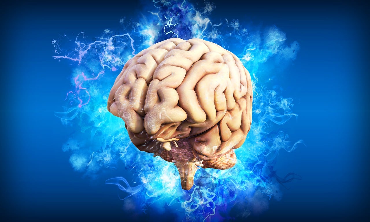 Cele 3 obiceiuri care îți distrug mintea. Recomandările unui neurolog de top pentru un creier sănătos