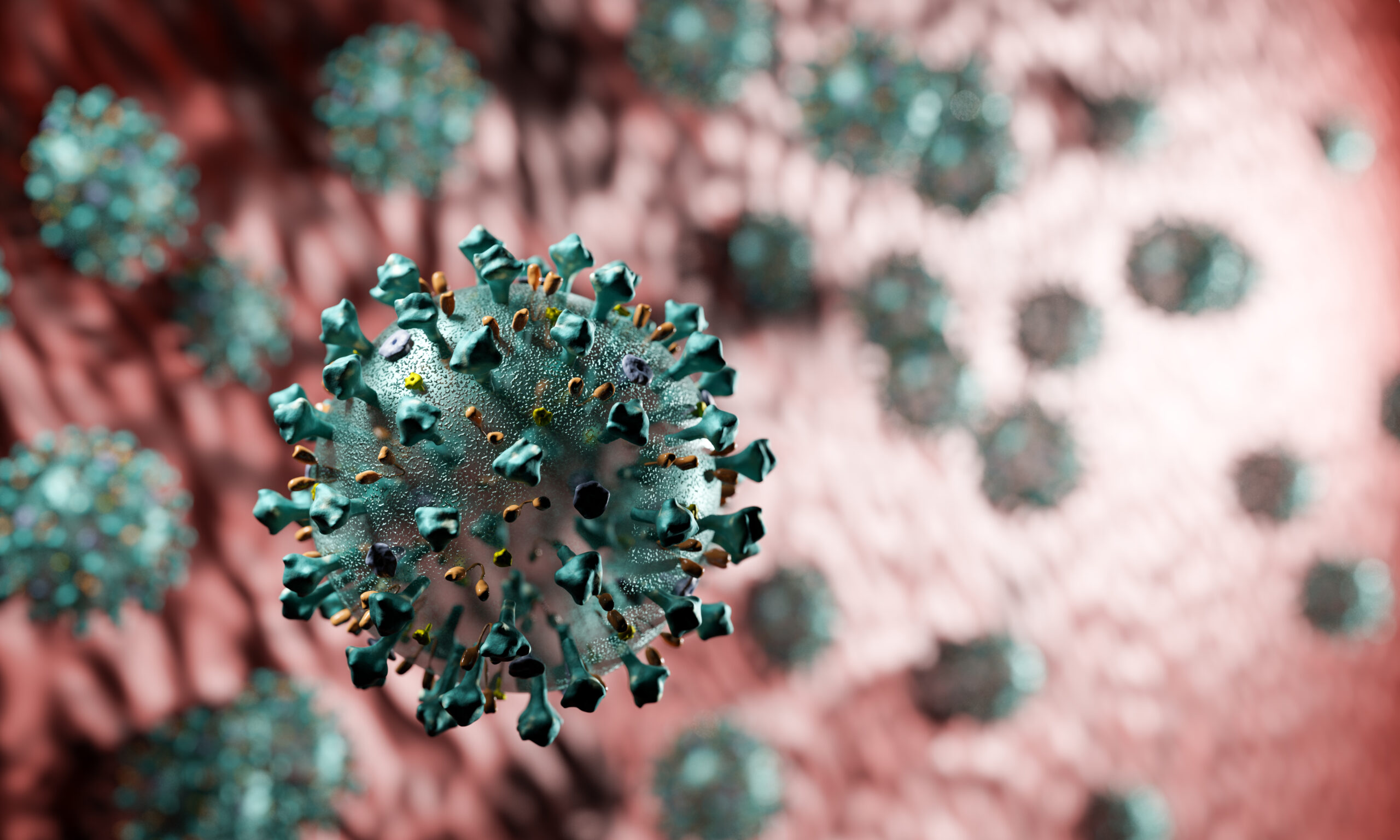 Virusul Nipah nu prezintă un risc pandemic major