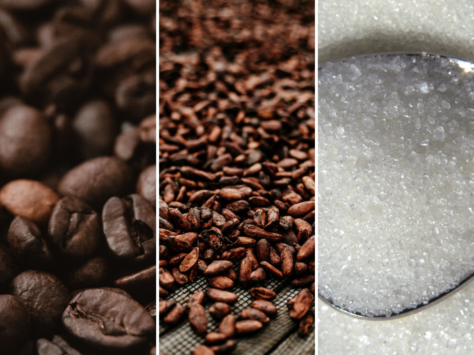 El Niño amenință recoltele de cafea, cacao și zahăr. Produsele care s-ar putea scumpi El Niño amenință recoltele de cafea, cacao și zahăr. Produsele care s-ar putea scumpi