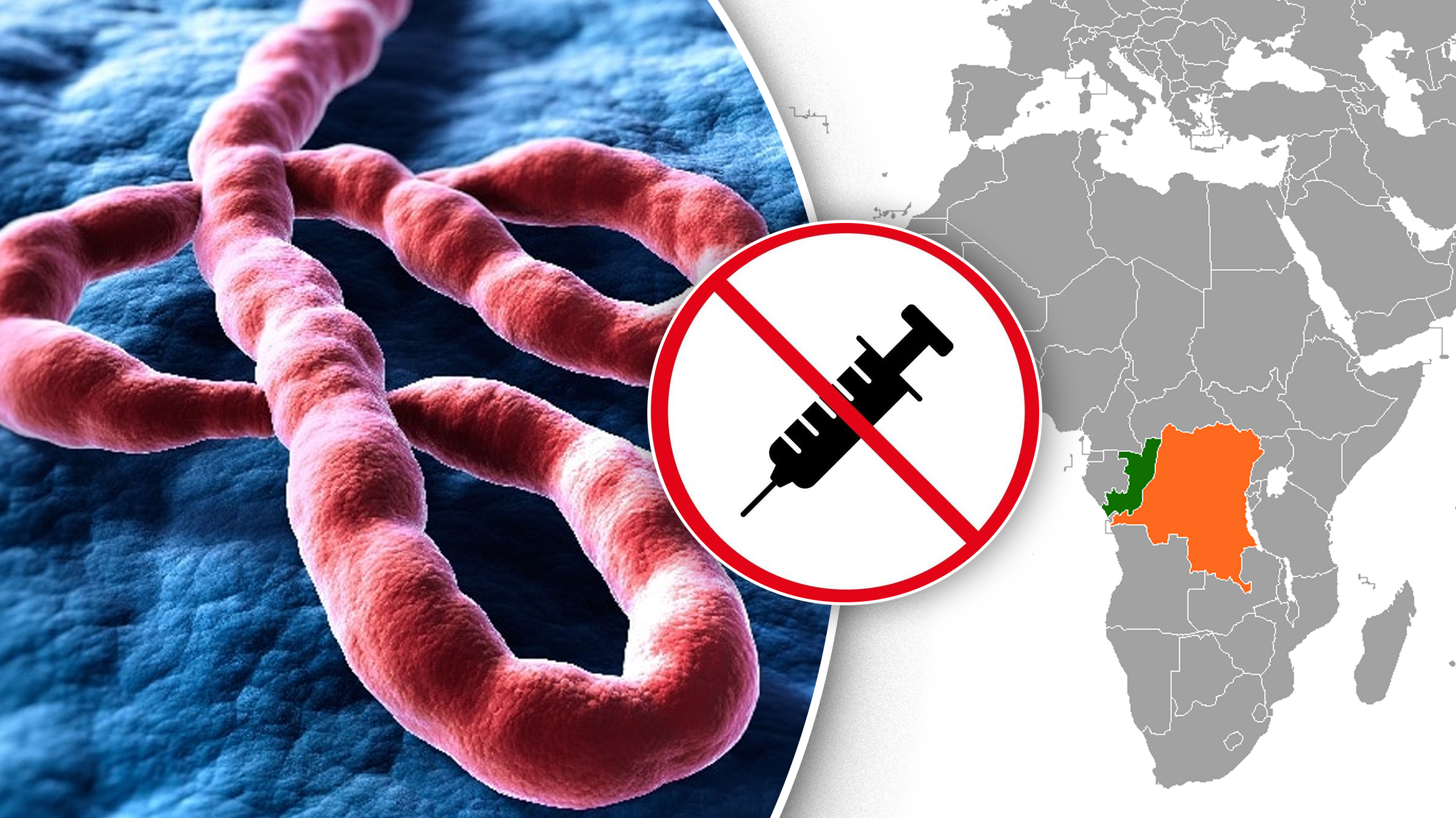 Ebola s-ar putea răspândi mai rapid de la mutații. OMS trage un semnal de alarmă asupra pericolului unui virus pentru care nu există vaccin Ebola s-ar putea răspândi mai rapid de la mutații. OMS trage un semnal de alarmă asupra pericolului unui virus pentru care nu există vaccin