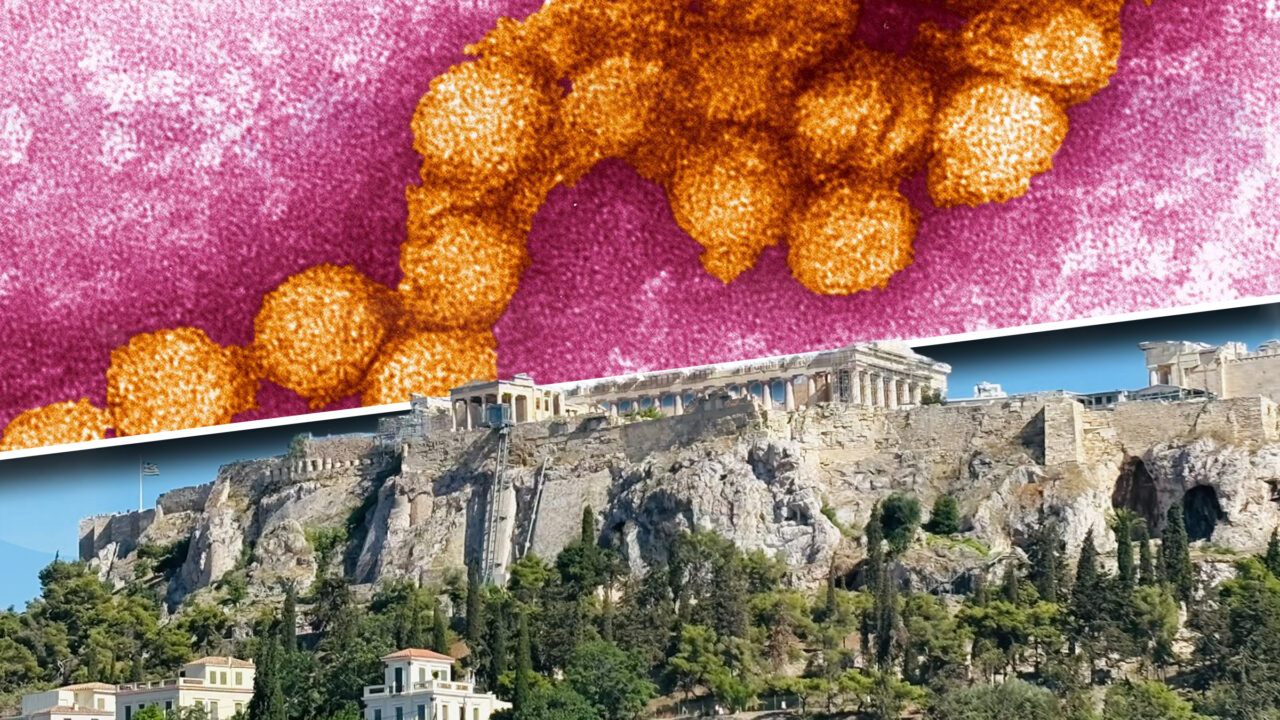 Epidemia de West Nile reizbucnește în Grecia. Autoritățile sunt în alertă Epidemia de West Nile reizbucnește în Grecia. Autoritățile sunt în alertă