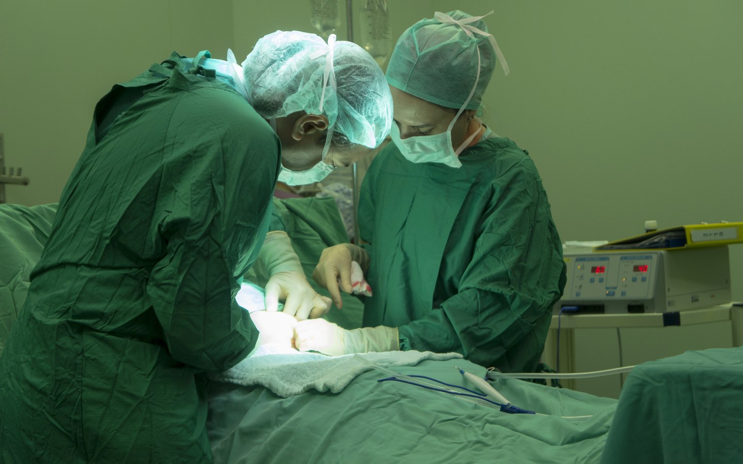 Record medical în SUA: un rinichi de porc a funcționat 271 de zile în corpul unui pacient